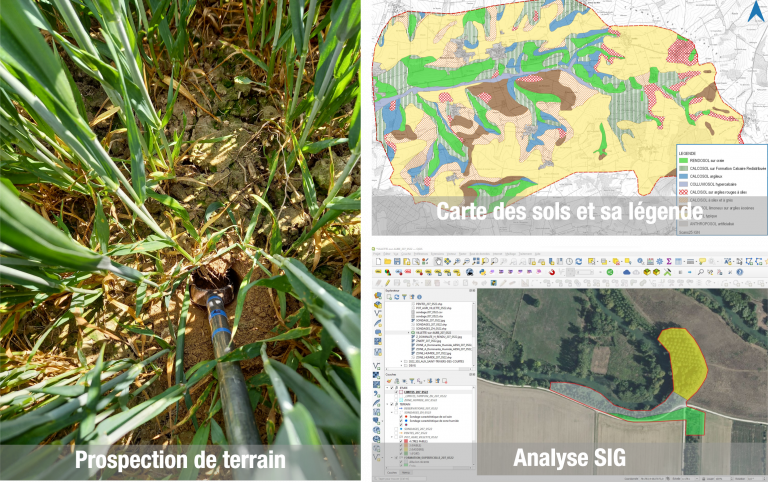 Sol, La Si Fascinante pédologie … • Sciences Environnement