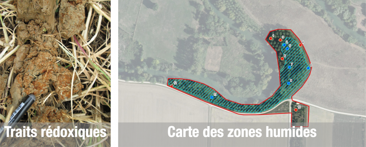 Sol, La Si Fascinante pédologie … • Sciences Environnement